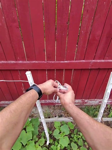 DIY Cucumber Trellis: Simple Vertical Garden Hack!