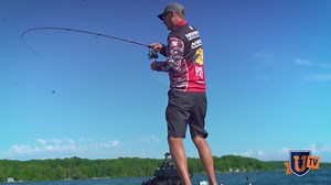 Special offers are available for new members! Click here to see our current deals. We offer 1,000 in-depth bass fishing video training courses by top pros, all in one place with unlimited access. | Bass University