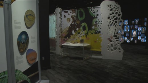 Science Museum of Minnesota introduces new exhibit focused on skin