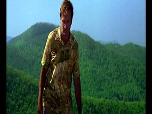 Patch Adams Butterfly Omen