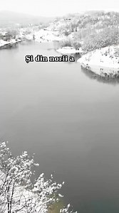 37K views · 998 reactions | Rapsodii de iarnă Autor: Aurica Crudu Lalu | Miere de albine - mănâncă sănătos | Facebook
