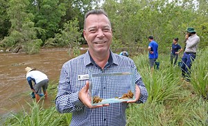 Native fish species released into Bremer River - Ipswich First