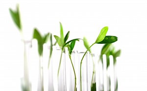 The Institute of Biotechnology and Genetic Engineering – Chulalongkorn University