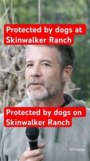 Protected by Guard dogs at Skinwalker Ranch. Come meet Alien Dave in person and find out about area 52 and the strange Utah UFO and government stories. You never know what stories or secrets you'll hear at the 2025 Moon Lake gathering on August 14, 15, 16, 2025 at the Duchesne Utah event center, see you all in a few weeks | Terry L Carter