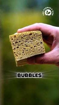 Turning Fermented Buckwheat into a Traditional Qiao Ba Cake #buckwheat #villagecooking #homemadecake