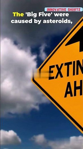 What is a Mass Extinction? (The 2025 Update)