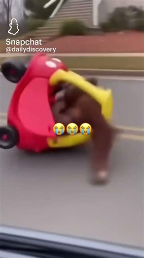 Funny monkey video riding in a car #Monkey #LittleCar ￼