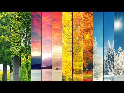 Recomposed by Max Richter: Vivaldi – The Four Seasons