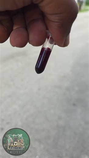 Mobile Progesterone Testing... . Dade County to Palmbeach County