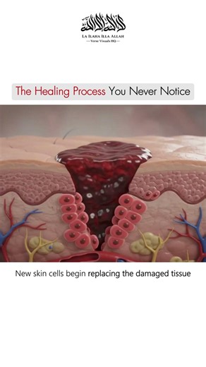 The Hidden Process That Saves Your Life Every Day #healing #Miracle #science #facts