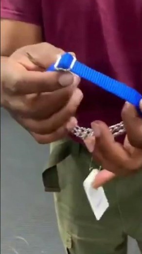 How to loosen and tighten an adjustable dog collar