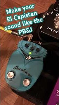 Try this! Make your #Strymon El Capistan sound like a #Danelectro PB&J