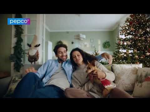 teleTOON+ Poland - continuity (17 November 2025)