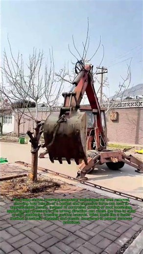 Remove a Tree How Use an Excavator Bucket Excavator Tree Removal Gone High-Pressure Snap
