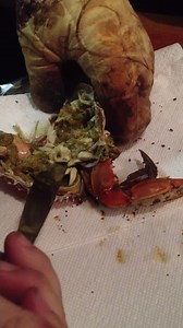 Opening a blue crab, easy way