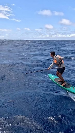Guido Ferrer flying on the new F4 Orca 530 front wing! 🔥🔥 #f4foilswing #wingfoiling #wingfoil #f4foils #foiling #performance #downwind #SurfFoil #wings #wing #downwindfoiling #hawaii #waves #WaterSports | F4 FOILS Wing