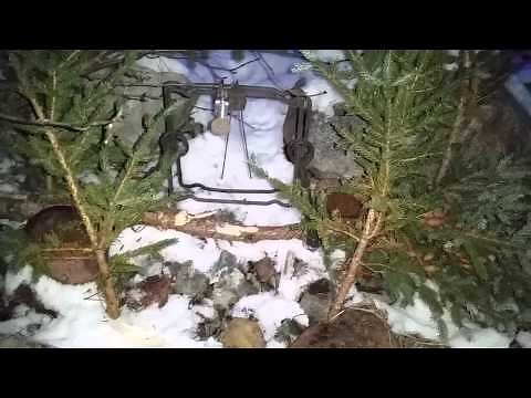 Otter Trap Set (Dry Land)