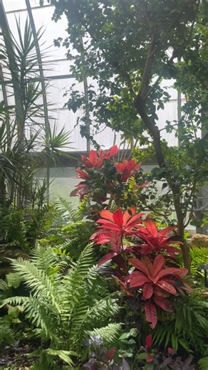 Krohn Conservatory: A Floral Paradise in Cincinnati