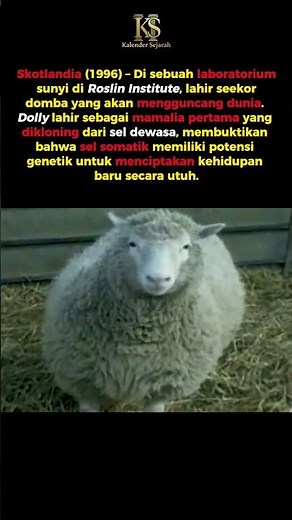 Domba Yang Mengguncang Dunia #faktasejarah