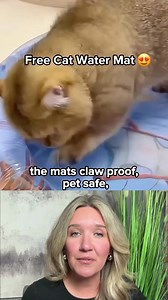 Your cat’s long, happy life starts with their Mental Health! 💙 AquaCats Water Mat is the simple solution that helps prevent indoor cat depression and boredom. ✅ Stimulates natural hunting instincts — giving indoor cats the challenge they miss. ✅ Keeps them moving — daily activity that reduces lethargy and sadness. ✅ Turns boring downtime into playtime — keeping your cat entertained for hours. 7 days of daily fun = thousands of happier moments together. Get yours FREE today: https://www.aquacats