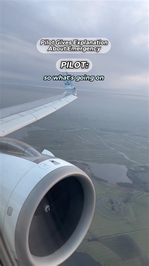 Pilot's Emergency Landing Explanation: What You Need to Know