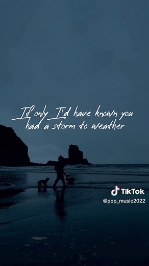 Popular music на TikTok