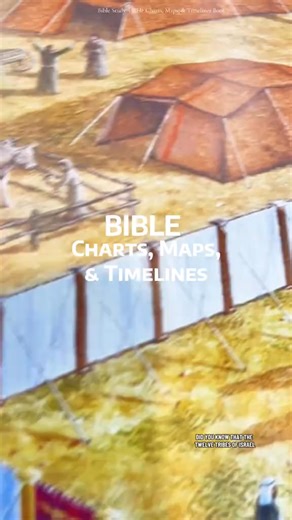 📘Tool to help you study the bible “rose book of bible charts,maps & time lines “extended edition ⤴️ 🌟 This book takes you deep into the truths of the Bible, unveiling little-known stories and facts. 🔍 With charts, maps, and timelines, it presents God's word visually, helping you better understand complex biblical events and relationships. ✨ Even beginners can easily get started #rosebookofbiblecharts #biblestudytools #biblecharts #illustratedart | XFungoods