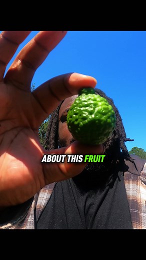 Unveiling the Kaffir Lime: A Unique Citrus Fruit