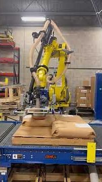 FANUC Depalletizing Robot with 3D Vision Camera 3DV/1600