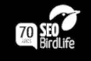 Abubilla común - SEO/BirdLife