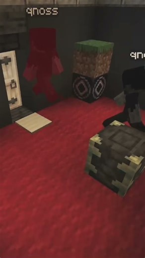 Die Tür!! #minecraft #datapack