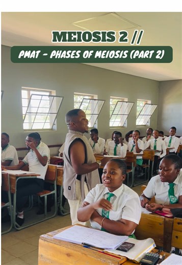 Understanding Meiosis: A Deep Dive into PMAT Stages