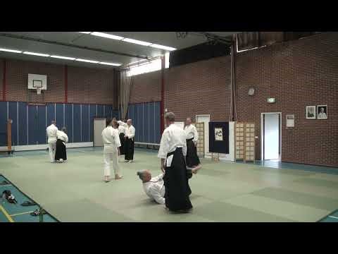Aikido Yuishinkai Alkmaar International Seminar Martijn van Hemmen 19-04-2026 afternoon