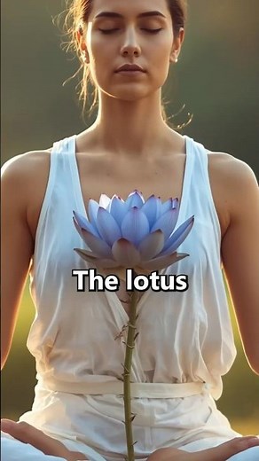 Incredible Sacred Symbolism: Lotus Flower Meaning