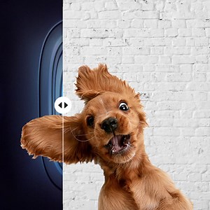 213 reactions · 19 shares | Get rid of any picture background quickly with the Picsart Remove Background Tool. | Picsart | Facebook