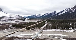 Trappers Catch Massive Wolf in Alaska, Largest Many Experts Have Ever Seen