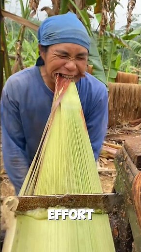 Turning Abaca Banana Sheaths into One of the World's Strongest Natural Fibers