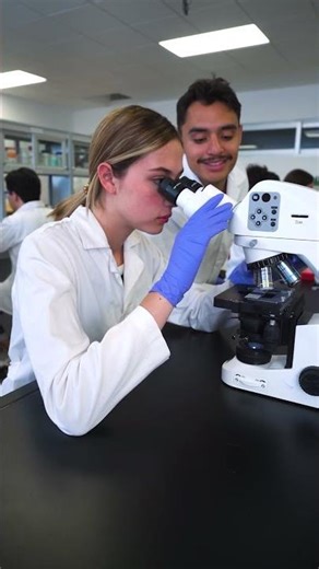 A-State, TXST, and NYIT deliver the exact academic programs in México.