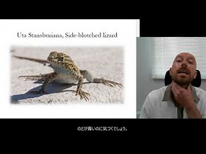Rock-paper-scissors, lizards, fashion and evolutionary game theory(すぐにわかる進化ゲーム理論じゃんけんトカゲファッションを即わかり)