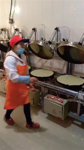 Efficient Food Processing in Chinese Factory: Machinery and Workers