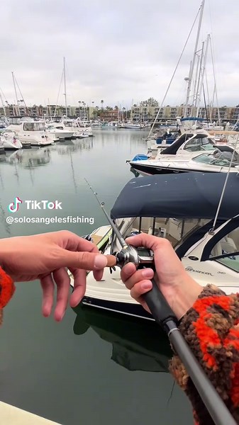 Ultimate Halibut Fishing Tips with Shrimp Bait