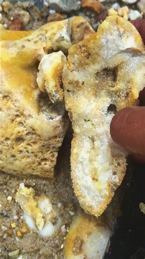 discovery of stepping stones, it turns out there is something valuable inside #Rockhounding #Agate