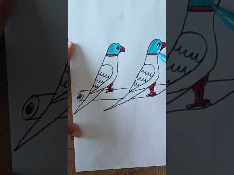 How to draw beautiful and easy birds with 55