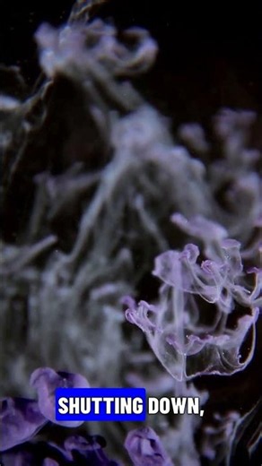 The Terrifying Brain Glitch: Exploding Head Syndrome