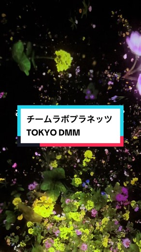 ここ、“全身でアートに入る”。 ここは チームラボプラネッツ TOKYO DMM 水の中を歩き、 光に包まれ、 作品の一部になる体験。 見るだけじゃない、 五感で楽しむ没入型ミュージアムです。 一歩進むたびに景色が変わり、 何度でも写真を撮りたくなる空間が広がります。 “ここ、現実を忘れるアートの世界”。 ⸻ 名称 チームラボプラネッツ TOKYO DMM 所在地 東京都江東区豊洲6-1-16 最大の売り 全身で作品に入り込む没入型アート体験 特徴 ・裸足で巡る体験型ミュージアム ・水や光、音を使ったアート作品 ・作品の中に入り込める展示 ・写真や動画を楽しめる空間 ・豊洲駅からアクセスしやすい立地 魅力 歩くだけで景色が変わる、まるで別世界。大人も子どもも夢中になれる、新感覚のアート体験が楽しめます。 アクセス ゆりかもめ「新豊洲駅」から徒歩約1分、東京メトロ有楽町線「豊洲駅」から徒歩約10分。 PR #チームラボプラネッツ #チームラボ豊洲 #東京旅行 #デートスポット #tiktokgo