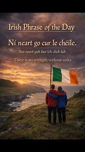☘️ Irish Phrase of the Day ☘️ 🇮🇪 Ní neart go cur le chéile (Nee nyart guh kur leh cheh-lah) ✨ There is no strength without unity ✨ A timeless Irish saying that reminds us we are stronger when we stand together, side by side, through everything. 🇮🇪 Inspired by the Irish coast ☘️ Strength. Unity. Community. #fblifestyle #learnirish | The Irish Buzz