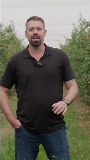 Cosmic Crisp® apples are back for 2025!