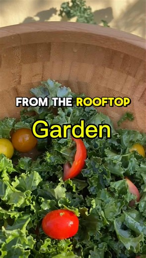 21K views · 121 reactions | ✅Anong Gulay Ito na Masustansya Pero Di...