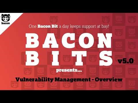 Bacon Unlimited - Vulnerability Remediation Feature Overview v5.0