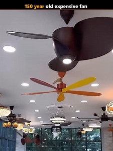 150 year old expensive fan 😱 #expensive #fans #old #viralshorts #trendingnow | World Story